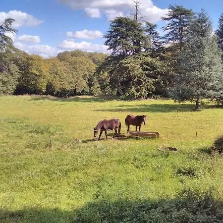 Authentique Avec Piscine Chauffee, Parc Et Chevaux, Au Coeur D'un Chateau Historique - Fr-1-410-189 Prázdninový dům *