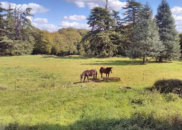 Authentique Avec Piscine Chauffée, Parc Et Chevaux, Au Cœur D'un Château Historique - Fr-1-410-189 Casa de Férias *